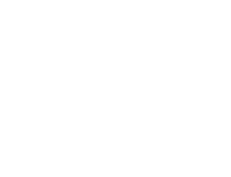 렌트카